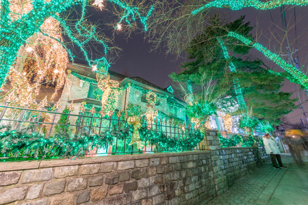 DYKER HEIGHTS, NY - DECEMBER 6, 2018: Christmas lights house decoration display in the suburban Brooklyn neighborhood of Dyker Heights in December.のeditorial素材
