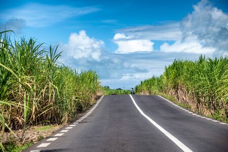 Beautiful road across the green countryside.の写真素材