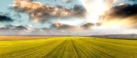 Panoramic aerial view at sunset of green meadow.