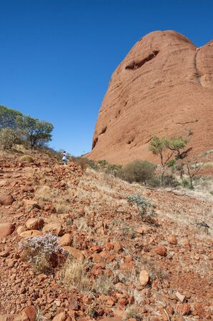 Australian outback and dry landscape of Northern Territory.の写真素材