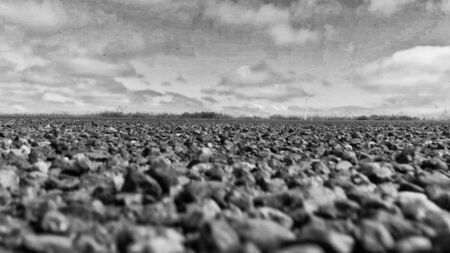 Dirty road pavement, view from the ground.の写真素材