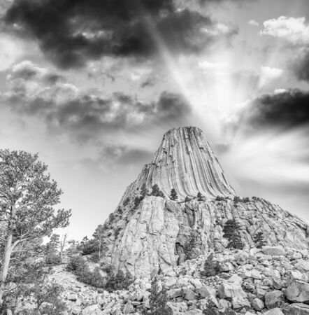 Sunset view of Devil's Tower and surrounding natural landscape, Wyomingの写真素材