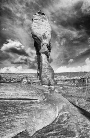 Delicate Arch on a wonderful summer day, Arches National Park, USA.の写真素材