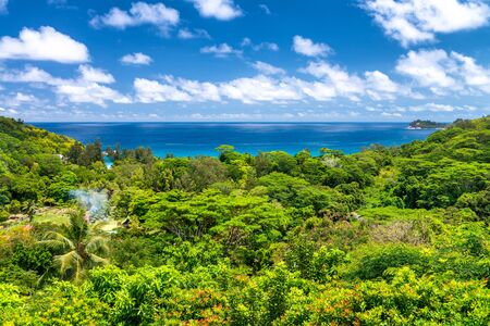 Amazing tropical landscape with trees and blue sky.の写真素材