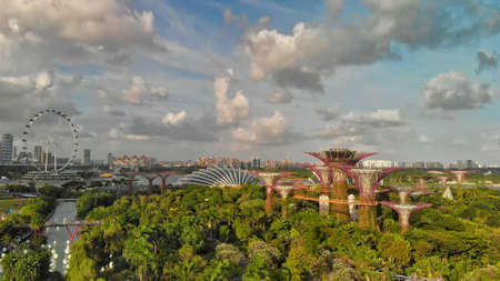 SINGAPORE - JANUARY 3, 2020: Singapore from the air. Gardens by the bay park.のeditorial素材