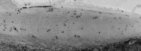 Overhead aerial view of swimmers on a beautiful beach from a drone.の写真素材