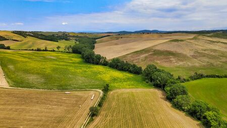Amazing aerial view of wheat field with poppies, Tuscanyの写真素材