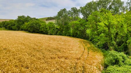 Amazing aerial view of beautiful Tuscany Hills in spring season, Italy.の写真素材