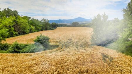 Amazing aerial view of beautiful Tuscany Hills in spring season, Italy.の写真素材