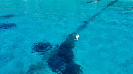 Aerial view of swimmer swimming in the crystal clear ocean.の写真素材
