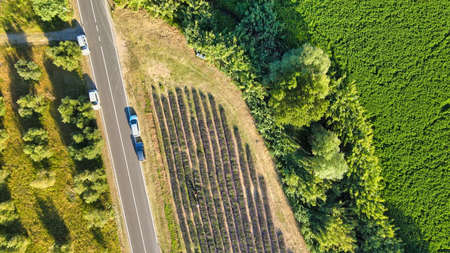 Couple of tourists enjoying outdoor time in a park.の写真素材