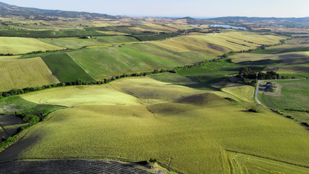Lavender meadows in open countryside. Amazing aerial view in summer season.