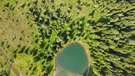Alpin lake in summer time surrounded by beautiful forest, overhead downward aerial view.の写真素材