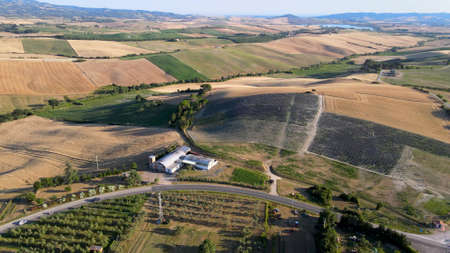 Lavender meadows in open countryside. Amazing aerial view in summer season.の写真素材