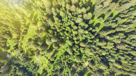 Alpin lake in summer time surrounded by beautiful forest, overhead downward aerial view.の写真素材