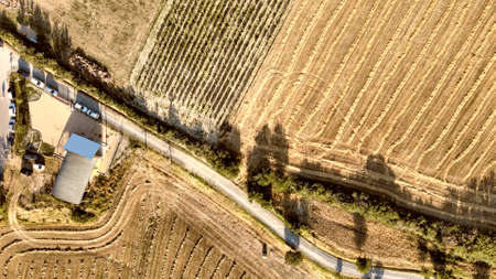 Tuscany campaigns, aerial view of hills in summer season, Italy.の写真素材