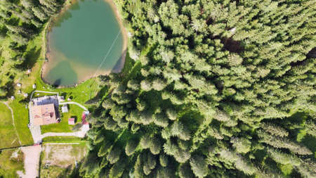 Lavender meadows in open countryside. Amazing aerial view in summer season.のeditorial素材