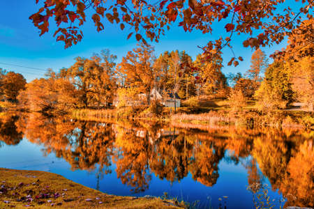 Amazing foliage reflections on a lake. Autumn in New England, USA.の写真素材