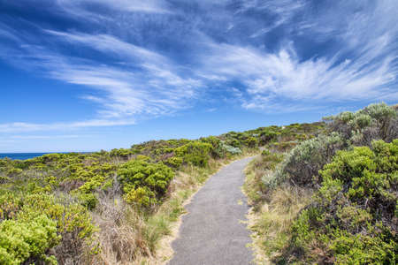 Trail across a beautiful coastline.の写真素材