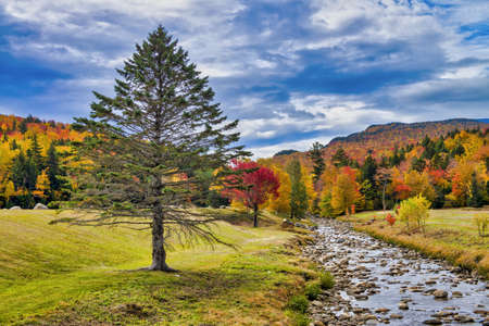Beautiful creek of New England with tree and foliage background.の写真素材