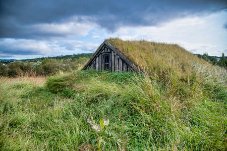 Hidden wooden homes under the grass, cloudy sky in the background.の写真素材