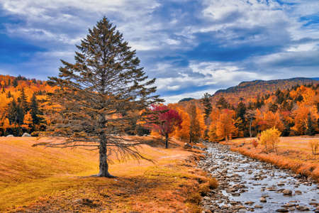 Beautiful creek of New England with tree and foliage background.の写真素材