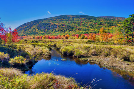 Amazing foliage reflections on a lake. Autumn in New England, USA.の写真素材