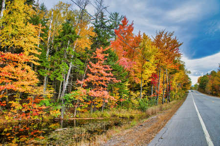 Road across New England countryside in foliage season, USA,の写真素材