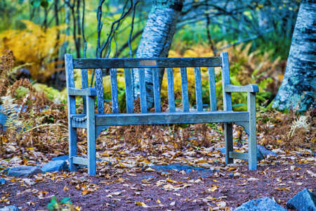 Beautiful bench in the woods, foliage season. Relax conceptの写真素材