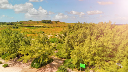 Mauritius Island. Aerial view of beautiful landscape from drone.