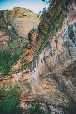 Checkerboard Mesa, famous mountain in Zion National Park, USA.の写真素材