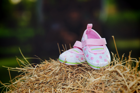 pink baby shoesの写真素材