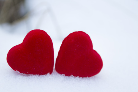 Heart in nature decoration for Valentine's dayの写真素材