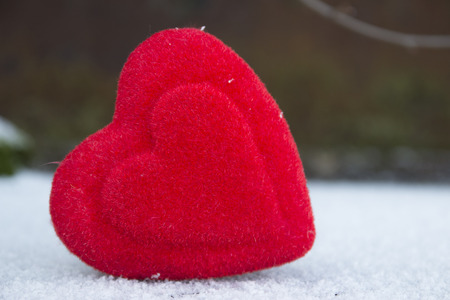 Heart in nature decoration for Valentine's dayの写真素材