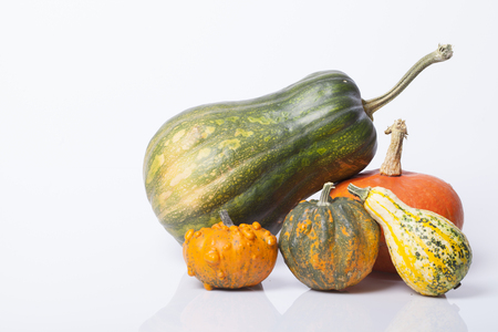 Pumpkin and squash autumn backgrounds on the tableの写真素材