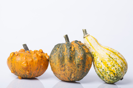 Pumpkin and squash autumn backgrounds on the tableの写真素材