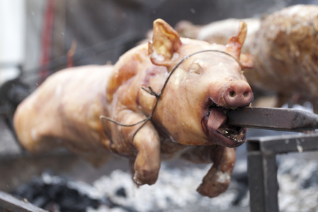 Traditionally suckling pig on a rotating spit with fireの写真素材