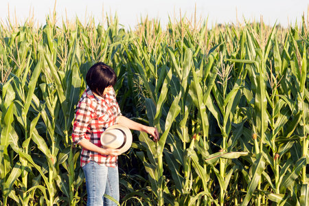 Woman farmer, the agronomist examines the quality of corn