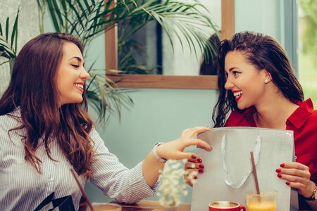 Two young women sharing their new purchases with each other. They having coffee break after shopping. Consumerism, shopping, lifestyle conceptの写真素材
