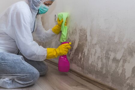 Close up of a female worker of cleaning service removes mold from wall using spray bottle with mold remediation chemicals, mold removal products.の写真素材