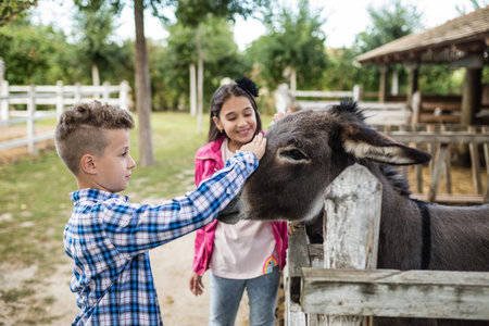 Happy little boy and girl having fun at farm ranch and meeting a donkey - Pet therapy concept in...