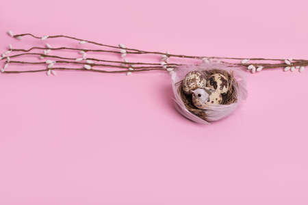 Trendy minimal concept of spring and Easter made of a bird nest and a tree branch on pastel pink background. Creative concept of the beginning of spring, birth and the beginning of a new life. Free space for textの写真素材