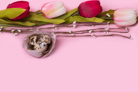 Trendy minimal concept of spring and Easter made of a bird nest and a tulips. Creative concept of...