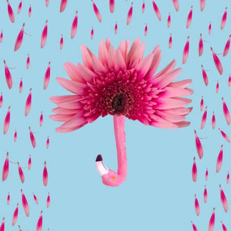 Fun minimal idea made of gerbera flower, petals and exotic flamingo birds on a pastel blue background. Creative Rainy season concept.の写真素材