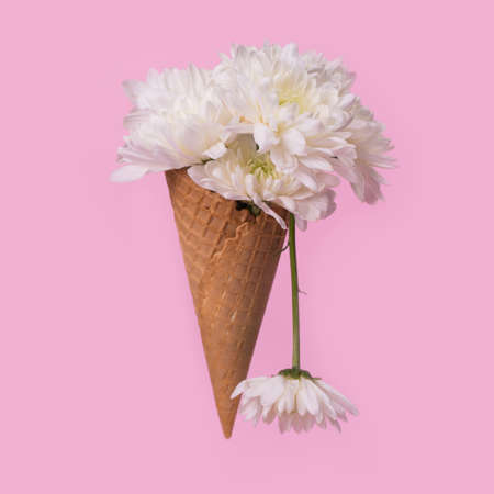 Ice cream cone with white flowers and dripping effect on a pastel pink background. Minimal spring or summer concept. A modern fun concept of gifts, anniversary and love.の写真素材