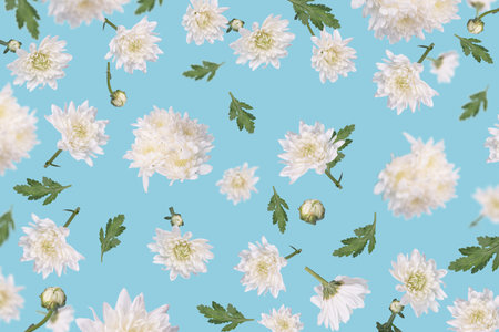Beautiful flying white flowers and leaves at trendy blue background, creative floral layout....