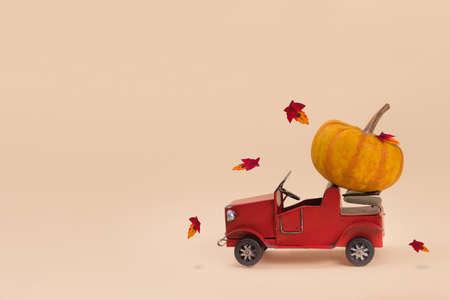 Red old car carrying big pumpkin against minimalistic beige background. Creative minimal Halloween or Thanksgiving season concept. Copy spaceの写真素材