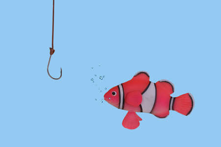 Creative minimal idea with  fish looking questioningly on a fishhook. Strategy concept. Suitable for topics like business, fishing and advertising. Copy spaceの写真素材