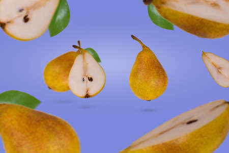 Fresh ripe whole and sliced pears flying in air isolated on purple background. Creative and minimal food concept.の写真素材