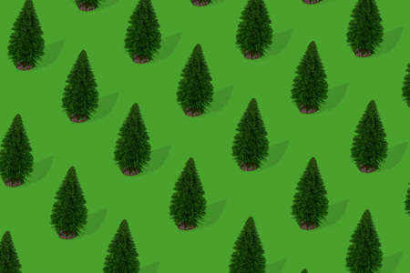 Isometric Pattern with Christmas  tree on green background. Bright minimal New Year layout with mini festive fir.  Minimal winter nature conceptの写真素材